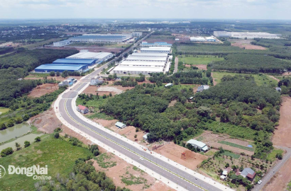 "Cất cánh" cùng dự án 16 tỷ USD, "sóng lớn" đổ bộ Đồng Nai, loạt doanh nghiệp tư nhân ồ ạt nhập cuộc