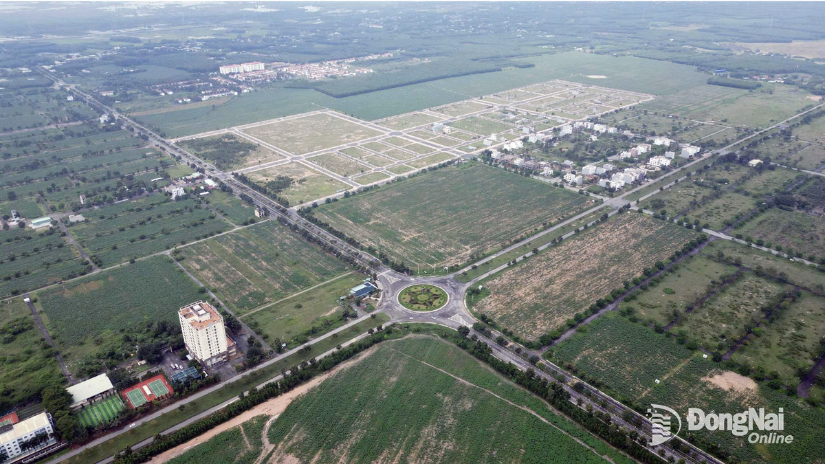 Đồng Nai dự kiến đấu giá 107 khu đất