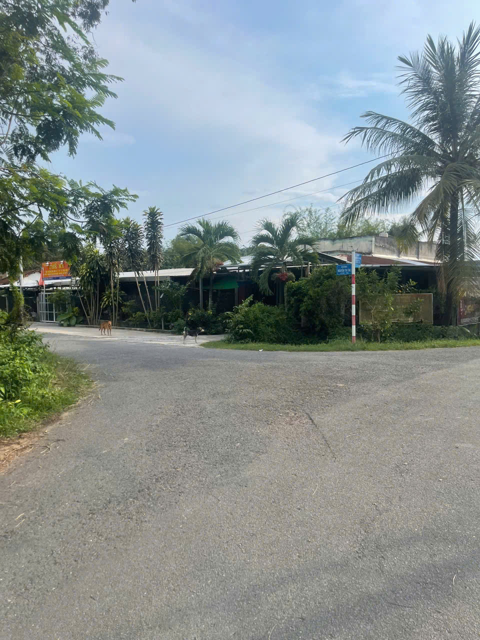 Khu dân cư đường nhựa cách Tỉnh Lộ 7 300m