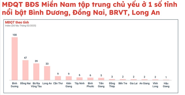 anh-2-1743590389094202038731.jpg