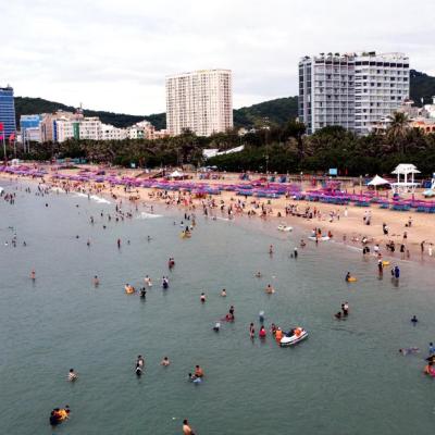 TP.HCM giao nhiệm vụ chủ đầu tư metro Vũng Tàu - Bà Rịa - Phú Mỹ