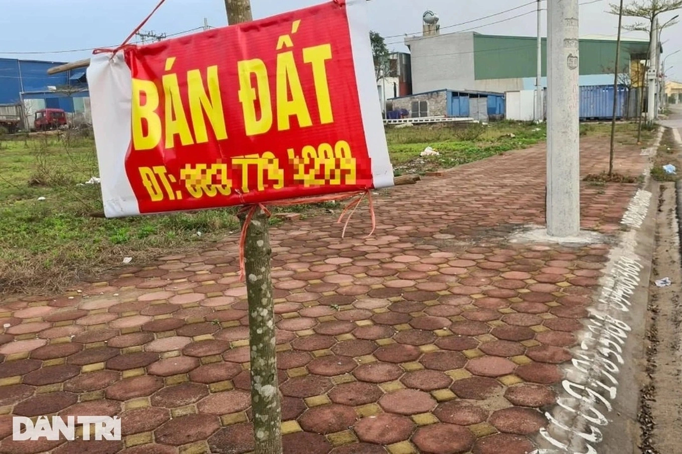 dat-crop-1746431468628.jpg