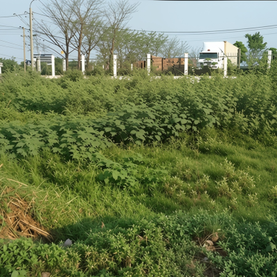 Người dân chuyển đất nông nghiệp sang đất ở trước năm 2026 sẽ được hoàn lại tiền