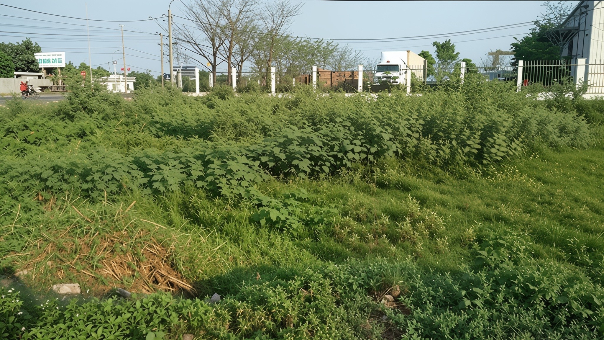 Người dân chuyển đất nông nghiệp sang đất ở trước năm 2026 sẽ được hoàn lại tiền