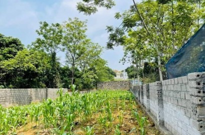 Giá đất nền tăng mạnh, có nơi tăng đến 100%