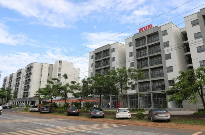 Thị trường bất động sản có nhiều tín hiệu phục hồi tích cực