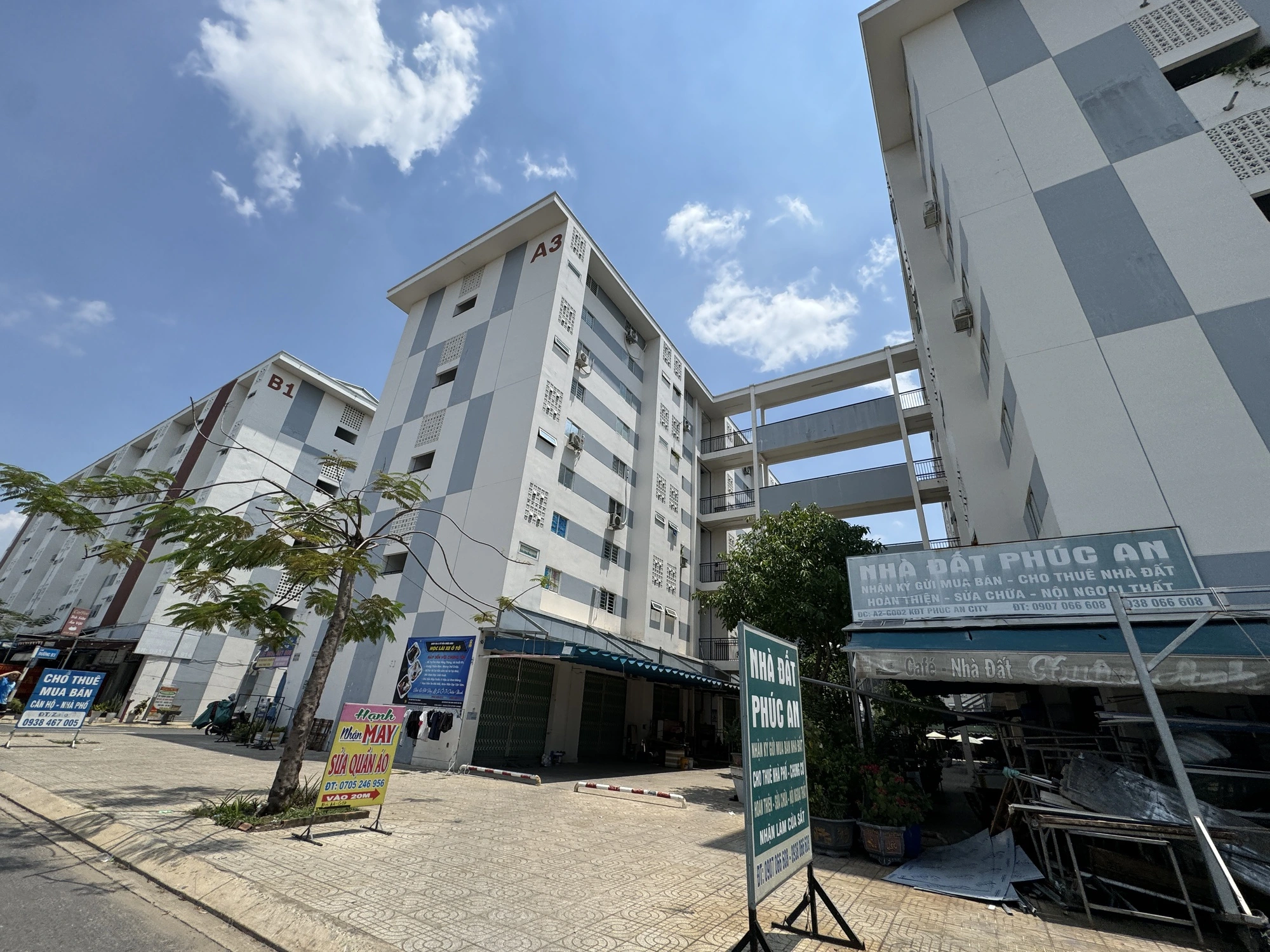 noxh-phuc-an-17671671658491030662256