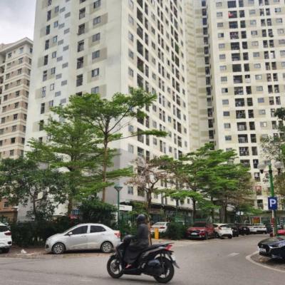 Bất động sản 2026: Tái cấu trúc trong chu kỳ mới