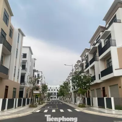 Bất động sản ít bị chi phối bởi các 'cú sốc' ngắn hạn