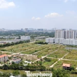 Phân khúc bất động sản nào đang tăng giá mạnh nhất?