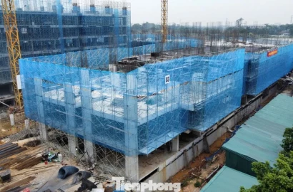 Hướng dẫn mới nhất xác nhận thu nhập mua NOXH cho lao động tự do